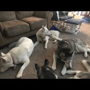 Meet your Posher, Elizabeth